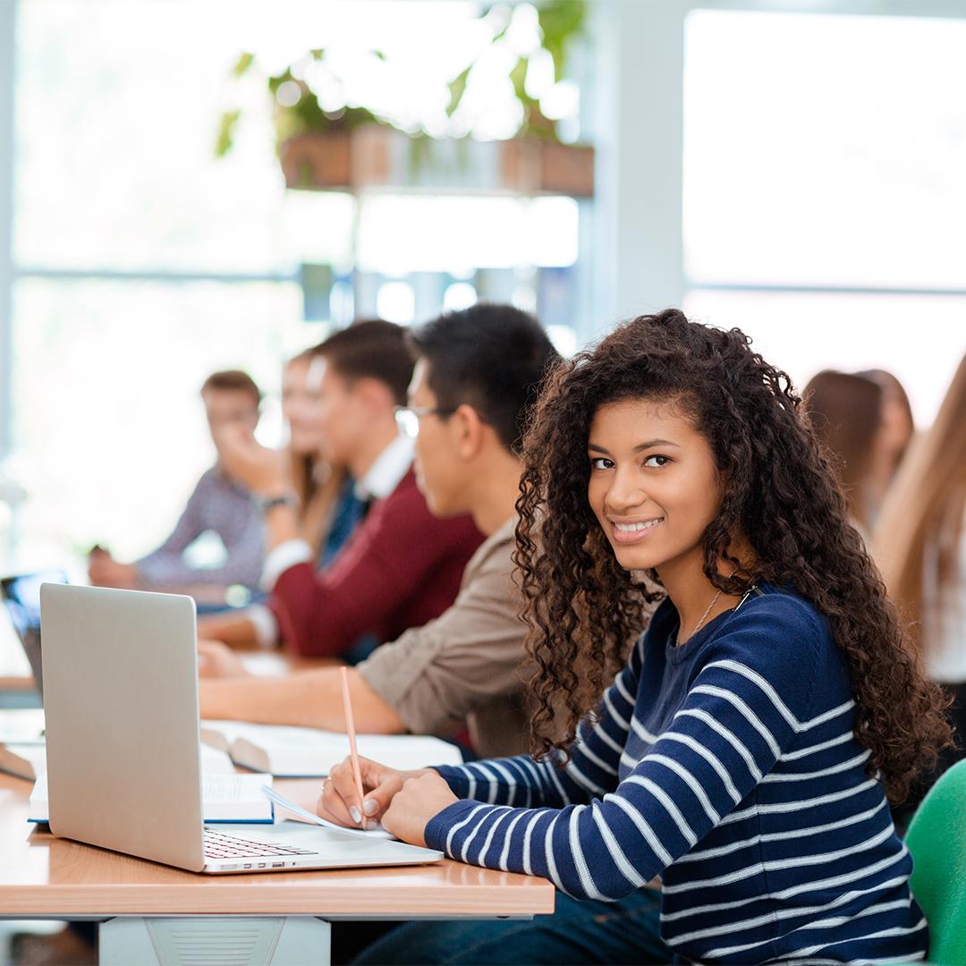 Professional client presentation setup showing 3D element integration